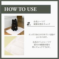 ペットシーツ レギュラー 50枚入 Hoippo（ホイッポ）植物由来89％ 12袋 ヘンリー