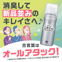 エアコン掃除 防カビ らくハピ エアコンのニオイ・カビオールアタック 110ml 1セット（1個×3） アース製薬