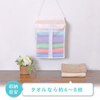 アストロ EVA半透明タオルストッカー 110-03 1個（直送品）