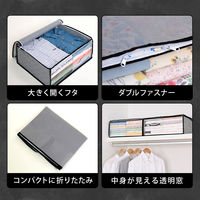 アストロ 活性炭衣類整理袋 6枚組 171-11 1セット(6枚)（直送品）