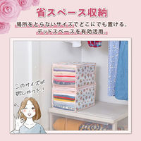 アストロ このサイズが欲しかった!高20cm 衣類整理袋 プチローズ 4枚組 183-39 1セット(4枚)（直送品）