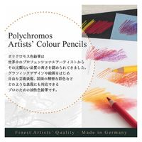 ファーバーカステル ポリクロモス色鉛筆ドリームカラー60色特製スタンドセット POLY60-STAND 1個（直送品）