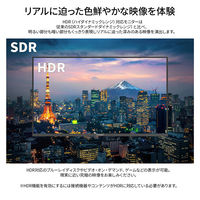 【スタンドセット】JAPANNEXT 50インチ大型モニター スタンドセット JN-HDR50IPSUHDJRSA 1台