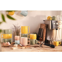 ツヴィリングJ.A.ヘンケルスジャパン ストウブ スタッキングマグ Ｓ 250ml ユーカリ レンジ カップ 食洗機 1個