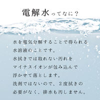 セスキの激落ちくんシート キッチン用 お掃除シート 油汚れ 洗剤不使用 1パック（20枚入）レック