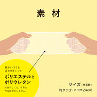 水切りゴミ袋 浅型 排水口用 抗菌タイプ 1セット（1袋（100枚入）×5）ネクスタ