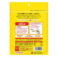ディンゴ チキンスティック S 小型～中型犬用 10本入 1セット（1袋×3）スペクトラム ブランズ ジャパン 犬用 おやつ