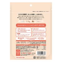 ディンゴ ソフトツイスト ミニ 超小型～小型犬用 14本入 1セット（1袋×3）スペクトラム ブランズ ジャパン 犬用 おやつ