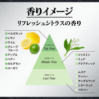 エージーデオ24メン　薬用メンズボディクレンズ　（医薬部外品） 490mL ファイントゥデイ　液体タイプ