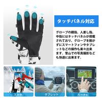 武興商事 【完全防水5層構造】 グローブ スマホ対応 手袋 裏起毛 スノボ M ブラック 100293 1個（直送品）