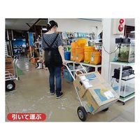 ミナト電機工業 アルミ製ハンドトラック MTH-100 1個（直送品）