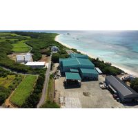 波照間島産黒糖250g 1袋 ゆうな物産