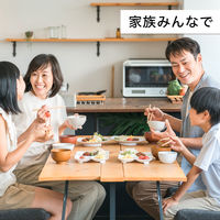 伊藤園 お～いお茶 緑茶 PURE GREEN 2L 1セット（12本）