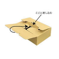 【60サイズ】テープレスダンボール 外寸：297×187×96mm 1パック（10枚入） フジケース