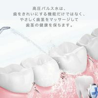 【口腔洗浄器】 アントレックス スキ間シャワー JET 口腔洗浄器 口腔ケア 歯間ブラシ 1台