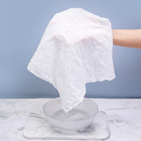 アィティーオー ITO圧縮タオル 22PCS  1袋（22枚入）