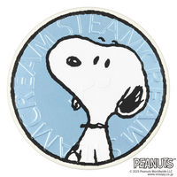 数量限定 STEAMCREAM（スチームクリーム） ピーナッツ 90S ビー・エフ・エフ 75g　ソノタス