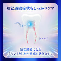 シュミテクト フューチャーホワイトケア〈1450ppm〉 80g Haleonジャパン 美白 歯磨き粉 虫歯予防