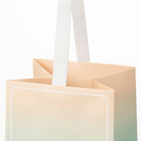 【限定デザイン】 グラデーションギフトバッグ JAR 5枚組 限定