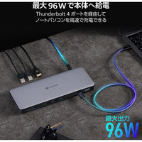 ドッキングステーション タイプC ハブ 14in1 Thunderbolt4対応 USBハブ DST-W13 エレコム 1個（直送品）