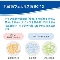 ピジョン 乳酸菌ウォーター 1021945 ベビー 飲料 1箱(24個入)（直送品）
