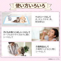 KAEI 薄型ペットシーツ レギュラー KO337 大型 犬猫トイレ 1箱(800枚入)（直送品）