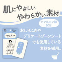 レック SRT 男性用 流せるボディシート 無香料 C01260 1個（12枚入）