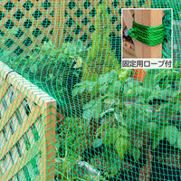 アストロ 養生グリーンネット 5x5m 530-01 1セット(1個×3)（直送品）