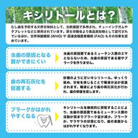 【大容量】キシリブロック オクチミント 22g×3パック オクチのキャンディー 歯磨き後に食べられる ビタットジャパン