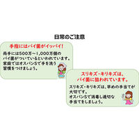 オスバンS 600ml　10本　逆性石けん液 手指の殺菌消毒に　ベンザルコニウム塩化物配合　水でうすめて使用【第3類医薬品】