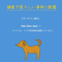 フローラケア グレインフリー 11歳からのシニア犬用 国産 2.4kg（400g×6袋）1袋 スマック ドッグフード