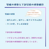 フローラケア グレインフリー 5つの健康ケア（腎臓の健康）チキン味 国産 600g（100g×6袋）1袋 スマック キャットフード
