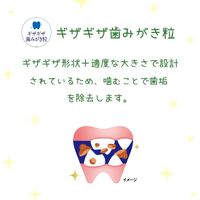 エブリデンタ 歯みがきおやつ かつお味 国産 30g（5g×6パック）1袋 スマック 猫用 おやつ