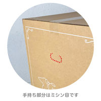 【120サイズ】ヘッズ デリバリーカートン-1 外寸：W300×D300×H550mm D-1 1セット（1袋（20枚入）×3）