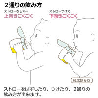 （5ヵ月から）トライ ストロー飲みマスターセット ブラウン 270ml 1個 リッチェル