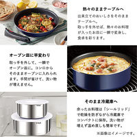 Tーfal 9点セット インジニオ ネオ ステンレス エモーション IH対応 L893S9 1個