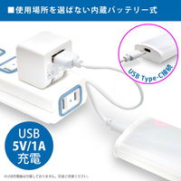 LEDバーライト 日本トラストテクノロジー USB LEDBARライト ワイド 20cm LEDBARSBTーWD20 1個