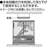 エキゾテラ 爬虫類 ヒーター ヒーティングトップ M 1個 ジェックス