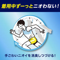 ハミング 消臭実感 汗・脂臭タイプ クリアシトラス 本体 500ml 1セット（1個×3） 柔軟剤 花王