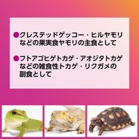 エキゾテラ RepDeli フルーツ＆バグペースト プロテインプラス 国産（2.5g×10本）1個 ジェックス 爬虫類用 餌