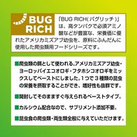 エキゾテラ RepDeli トリプルバグペースト ミズアブ＆コオロギ 国産（5g×6本）1個 ジェックス 爬虫類用 餌