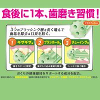 【アウトレット】ドギーマン ホワイデント 長持ち歯みがき ギザ棒ガム クロロフィル配合 S 超小型・小型犬向き 国産 21本 1袋 犬用 おやつ