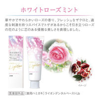 ライオン Lighteeハミガキ ホワイトローズミント 53g 210217 1個(53G)×3（直送品）