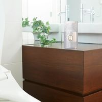 トイレの消臭力 置き型 Premium Aroma（プレミアムアロマ） アーバンリュクス 1セット（1個×6） エステー