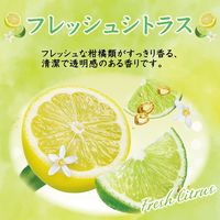 トイレの消臭力スプレー トイレ用 フレッシュシトラス 365ml 1セット（1本×3） 消臭剤 芳香剤 エステー