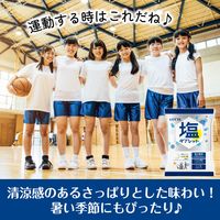 暑さ対策 塩分チャージ 業務用　塩タブレット＜レモン＞　48g 1セット（1個×20）