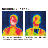 【アウトレット】コーコス信岡 ボルトアイス ペルチェ クーラーユニット ブラック GPー854 1個