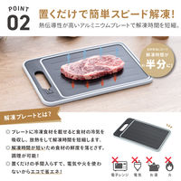 武田コーポレーション 解凍プレート付き多機能まな板M KPSMM 1箱(10個入)（直送品）