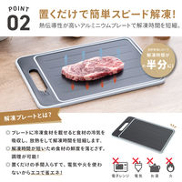 武田コーポレーション 解凍プレート付き多機能まな板L KPSML 1箱(10個入)（直送品）