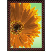 コクヨ　額縁金ラック軽量タイプ・スタンド付き規格Ａ３　1枚（わけあり品）